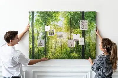 Memobord van kurk Natuur bos bomen
