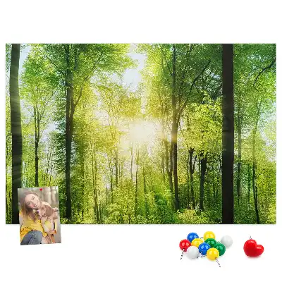 Memobord van kurk Natuur bos bomen