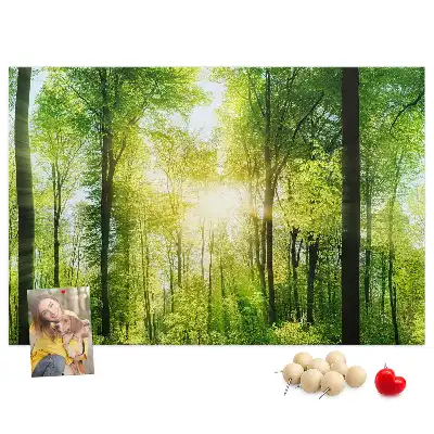 Memobord van kurk Natuur bos bomen