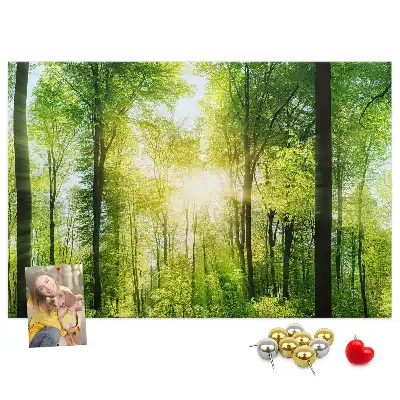 Memobord van kurk Natuur bos bomen