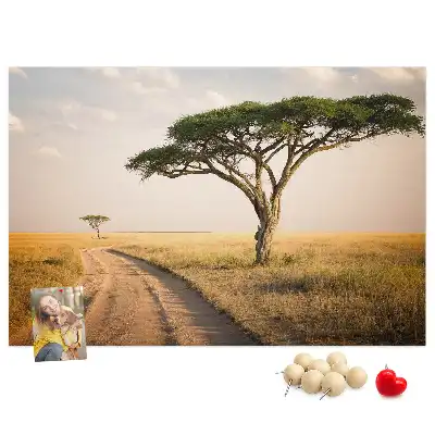 Kurk prikbord Afrikaans landschap