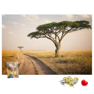 Kurk prikbord Afrikaans landschap