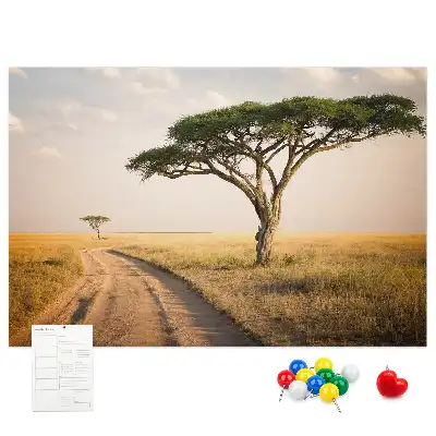 Kurk prikbord Afrikaans landschap