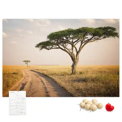 Kurk prikbord Afrikaans landschap