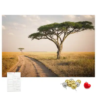 Kurk prikbord Afrikaans landschap