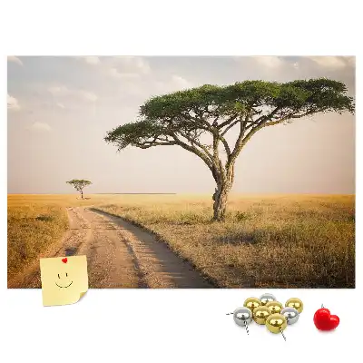 Kurk prikbord Afrikaans landschap