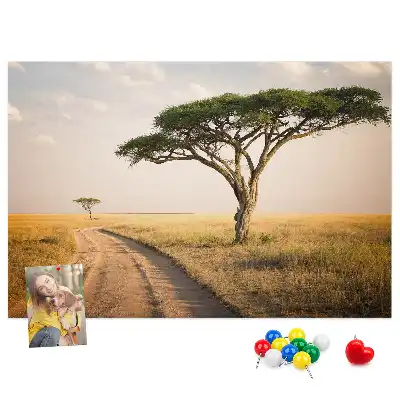 Kurk prikbord Afrikaans landschap