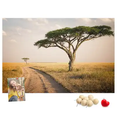 Kurk prikbord Afrikaans landschap