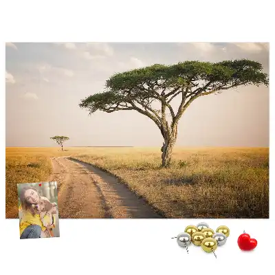 Kurk prikbord Afrikaans landschap