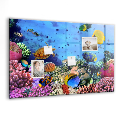 Memobord keuken Onderwaterleven