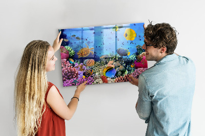 Memobord keuken Onderwaterleven