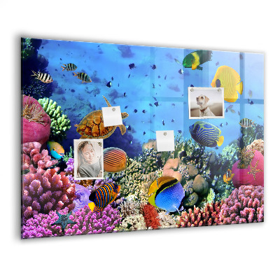 Memobord keuken Onderwaterleven