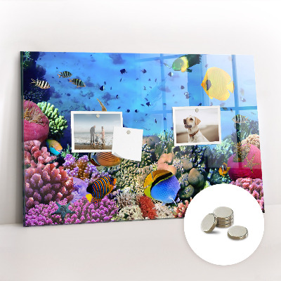 Memobord keuken Onderwaterleven