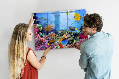 Memobord keuken Onderwaterleven