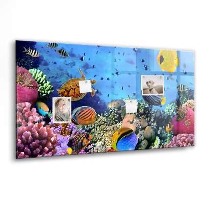 Memobord keuken Onderwaterleven