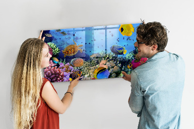 Memobord keuken Onderwaterleven