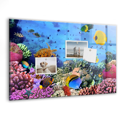 Memobord keuken Onderwaterleven