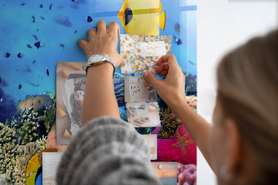 Memobord keuken Onderwaterleven