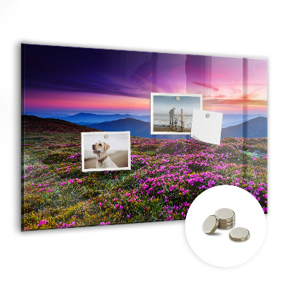 Magnet board Zonsopgangbloemen