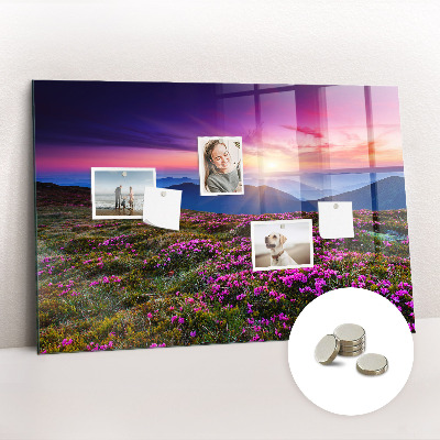 Magnet board Zonsopgangbloemen