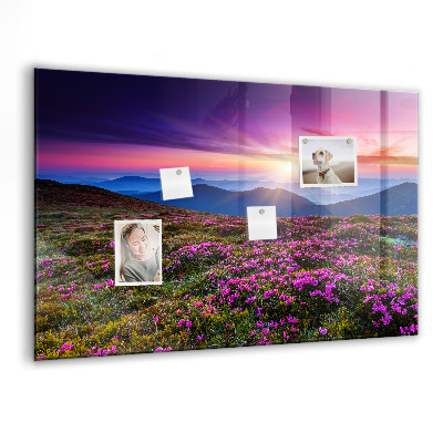 Magnet board Zonsopgangbloemen