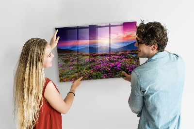 Magnet board Zonsopgangbloemen