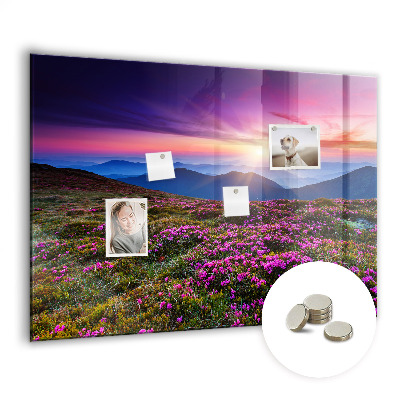 Magnet board Zonsopgangbloemen