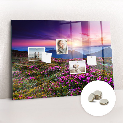 Magnet board Zonsopgangbloemen