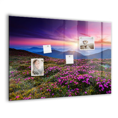 Magnet board Zonsopgangbloemen