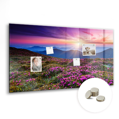 Magnet board Zonsopgangbloemen
