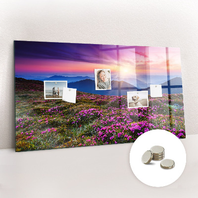 Magnet board Zonsopgangbloemen