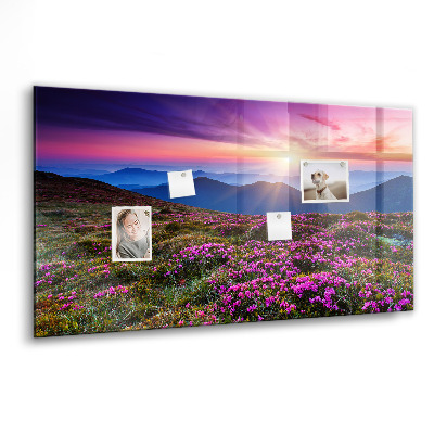 Magnet board Zonsopgangbloemen