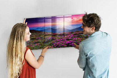Magnet board Zonsopgangbloemen