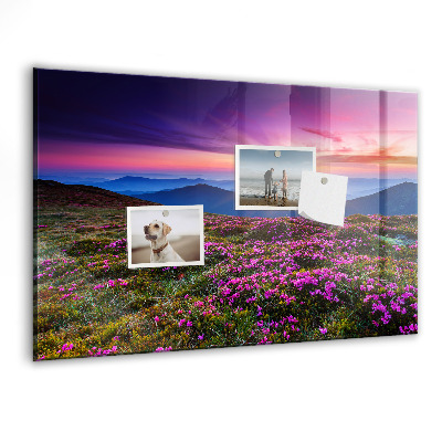 Magnet board Zonsopgangbloemen