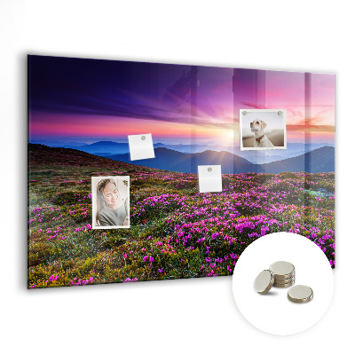 Magnet board Zonsopgangbloemen