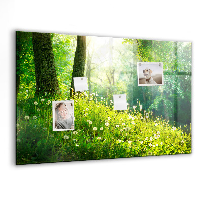 Memobord keuken Lente natuur