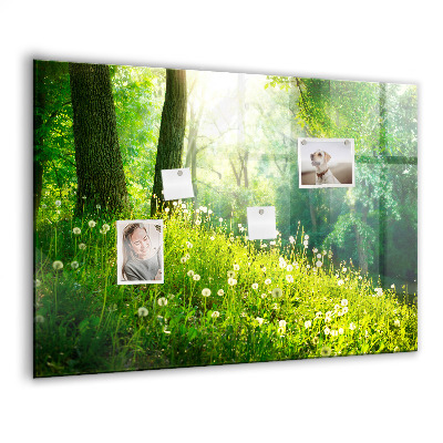 Memobord keuken Lente natuur