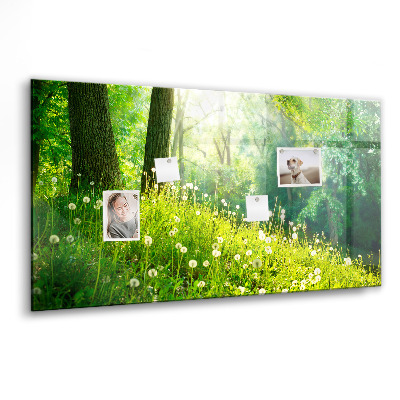 Memobord keuken Lente natuur