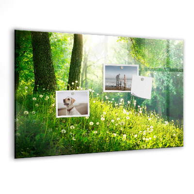 Memobord keuken Lente natuur