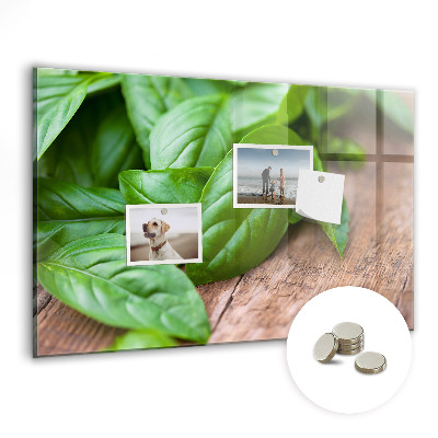 Magnetisch wandbord Basilicumblaadjes