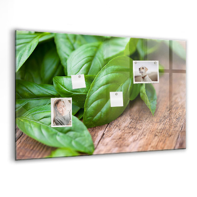 Magnetisch wandbord Basilicumblaadjes