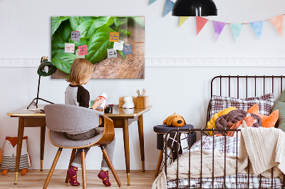 Magnetisch wandbord Basilicumblaadjes