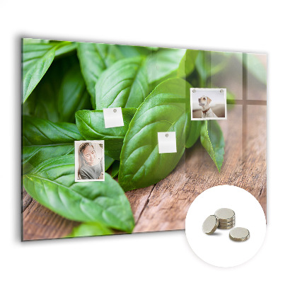 Magnetisch wandbord Basilicumblaadjes
