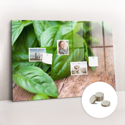 Magnetisch wandbord Basilicumblaadjes