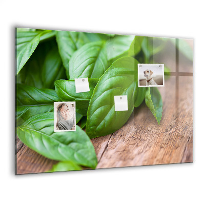 Magnetisch wandbord Basilicumblaadjes