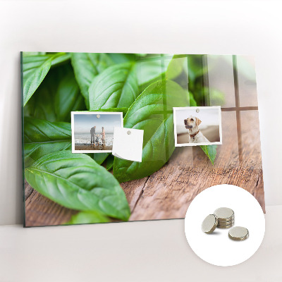 Magnetisch wandbord Basilicumblaadjes