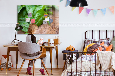 Magnetisch wandbord Basilicumblaadjes