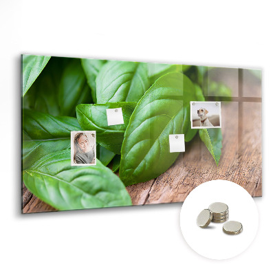 Magnetisch wandbord Basilicumblaadjes