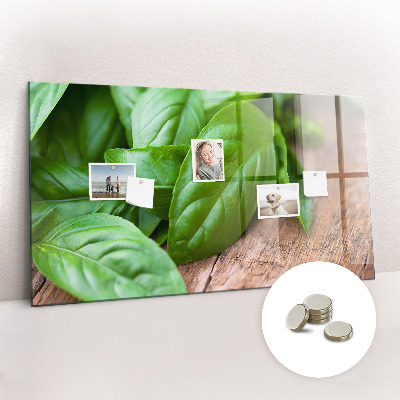 Magnetisch wandbord Basilicumblaadjes