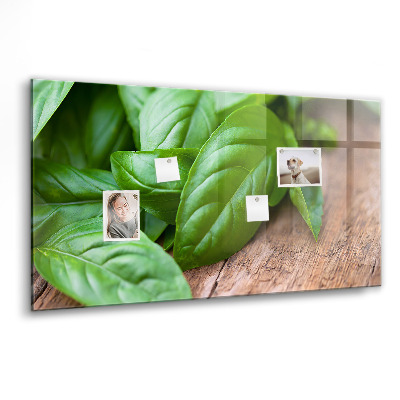 Magnetisch wandbord Basilicumblaadjes
